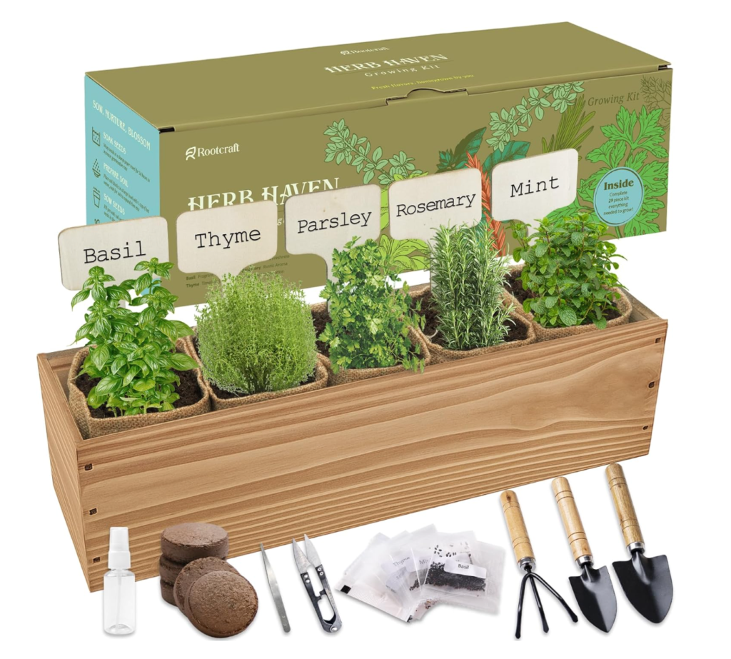indoor herbs kit
